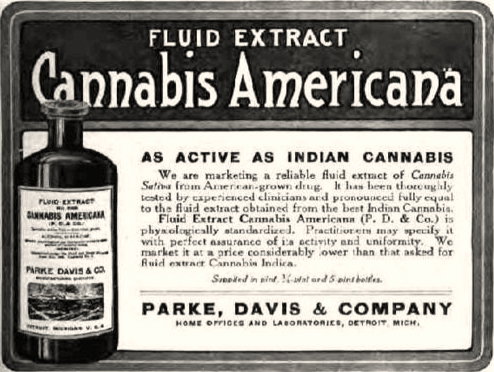 “A Beautiful Purplish Hue”: Frank Dudley Beane’s Experience with Ergot and Cannabis Indica (1884) — The Public Domain Review